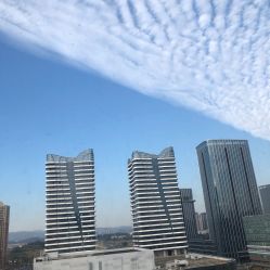 -梓爱月子中心(花都店)