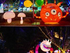 -锦江乐园舞狸花花游园会(夜场专享)