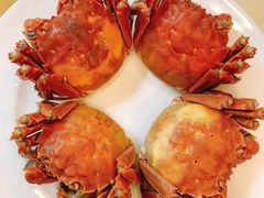 清蒸大闸蟹-王宝和酒家(黄浦店)