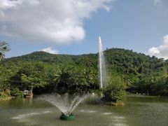 -呀诺达热带雨林