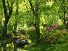 -上海共青森林公园