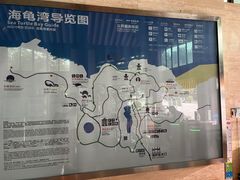 -广东惠东海龟国家级自然保护区