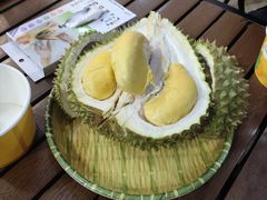 -榴莲BB 四季果园