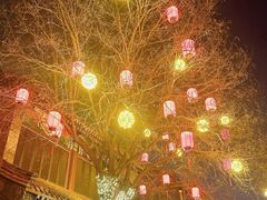 -德缘烤鸭店(大栅栏店)