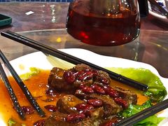 -东鸽皇(奥园·中环广场店)