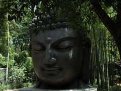 -杭州植物园