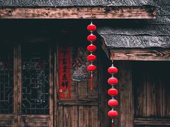 -南山植物园