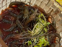 -七的湖·晚芳亭·阳澄湖农家菜·大闸蟹(莲花岛店)