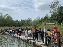 -溱湖国家湿地公园