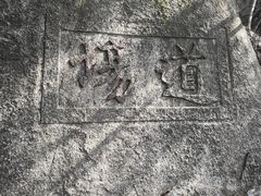 -长沙黑麋峰国家森林公园