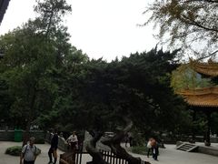 -普陀山风景名胜区-法雨禅寺