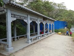 -羚羊峡古栈道森林公园