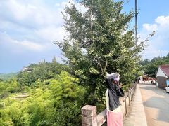 -鹿亭中村