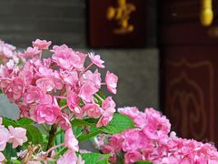 -哈尔滨极乐寺