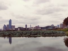 -月湖风景区