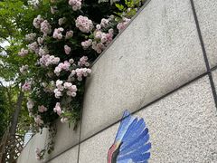 -上海佘山世茂艾美酒店