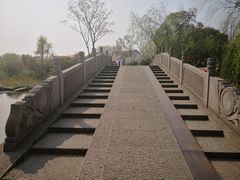 -杭州湾海上花田景区