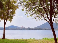 -顺峰山公园