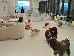 -怪兽屋·羊驼·猫咖·狗咖(俊华广场店)