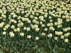 -长春公园(普阳街道)