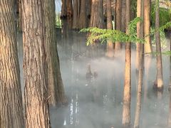 -东湖落雁景区