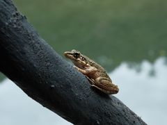 -龙湾潭国家森林公园