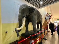 -国家自然博物馆