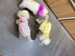 -宠物家(双井店)