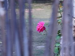 -井塘古村