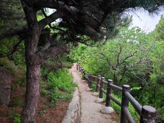 -北京十三陵国家森林公园蟒山景区