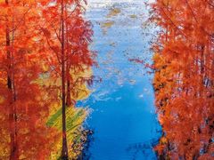 -大理.老字号渝记酸萝卜乌鱼(古城总店)