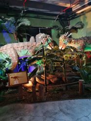 -恐龙探索乐园(磁器口店)