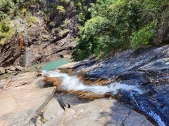 -广州白江湖森林公园