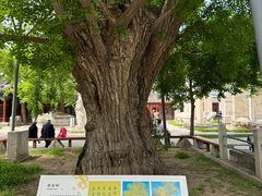 -北京石刻艺术博物馆(五塔寺)