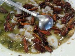 -九毛九西北菜(大东海店)