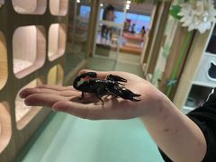 -藦茜花园宠物主题亲子互动体验馆(国顺东路店)