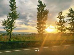 -黄牛肉馆·皖南土菜