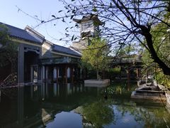 -广州神农草堂中医药博物馆