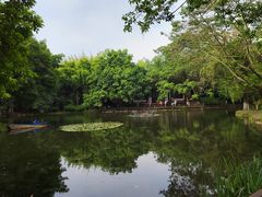 -望江楼公园