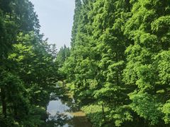 -黄海国家森林公园