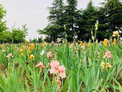 -江南大学(蠡湖校区)