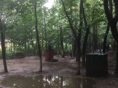 -亲兄弟真人CS团建拓展基地