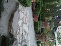 android_upload_pic-东芭乐园