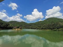 -广州白江湖森林公园