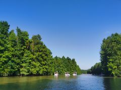 -上海海湾国家森林公园