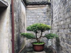 -天一阁博物院