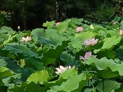 -成都杜甫草堂博物馆