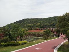 -龙寺生态园