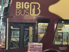-Big Bus Tours 敞篷观光巴士