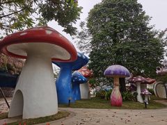 -海花岛旅游度假区